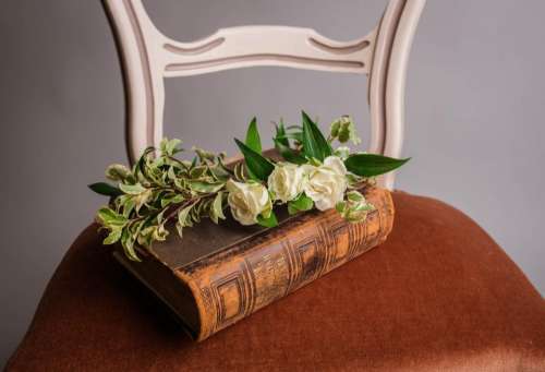 chair flower book scripture