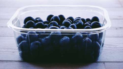 blueberries berries food eating healthy healthy food