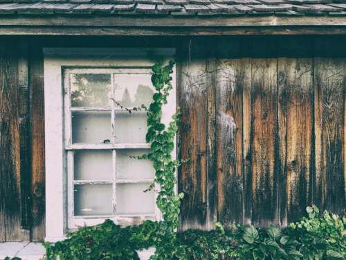 house wood wall door glass