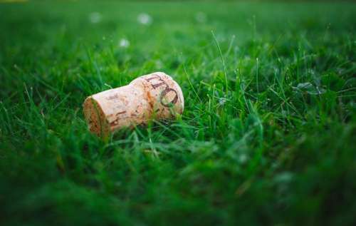 green grass lawn field corks