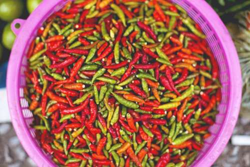 food spice red chili tub
