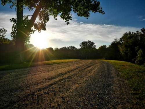 nature green sunrise light trees