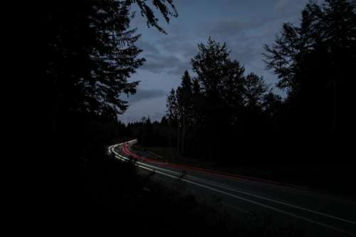 nature road paths street forests