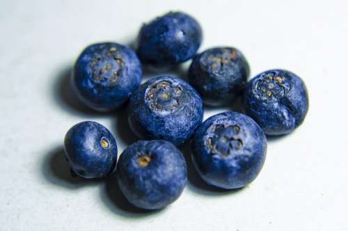 blueberry fruit crop juice food