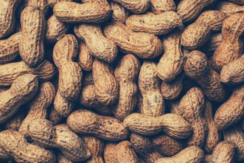 peanuts food