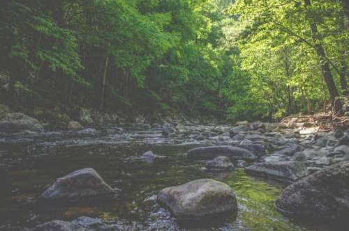 river water stream rocks nature