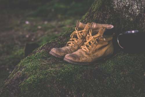 brown leather shoe footwear grass