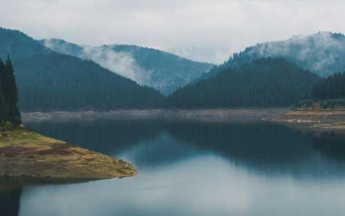 lake river water trees forest