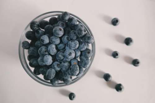 blueberry fruit food sweet bowl