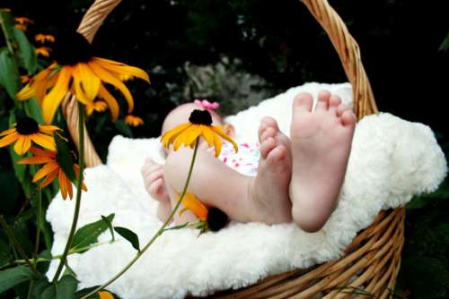 baby feet basket flowers family