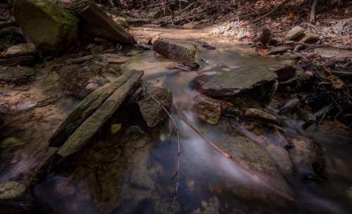 stream water wood rock nature