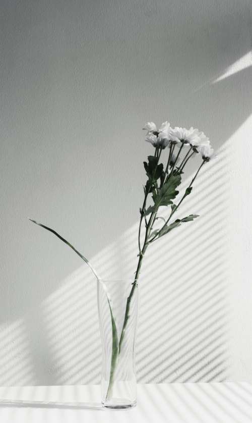 flower vase display black and white