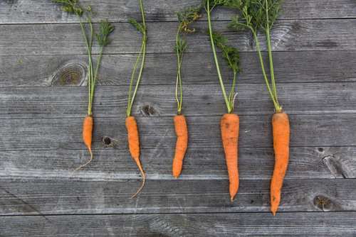 orange carrots vegetables healthy food