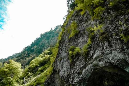 nature mountains cliff rocks lush
