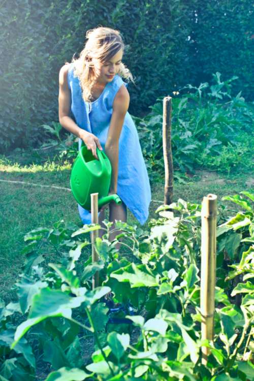 woman blue dress garden yard
