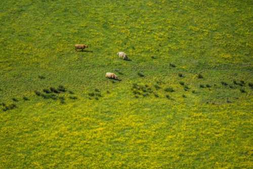 landscape highland nature green grass