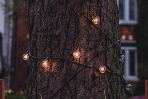 christmas lights wire tree wood
