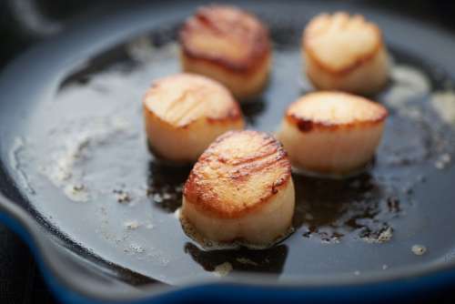 scallops seafood cooking fresh hot
