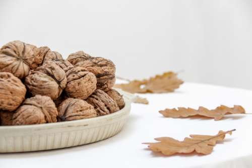 walnuts plate table leaves oak