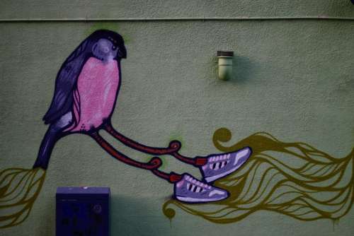 wall art mural painting bird