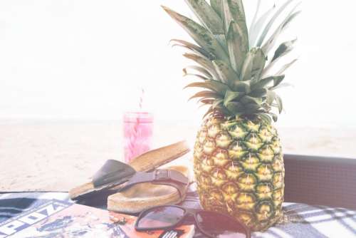 pineapple dessert appetizer fruit juice