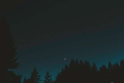 dark night sky moon trees