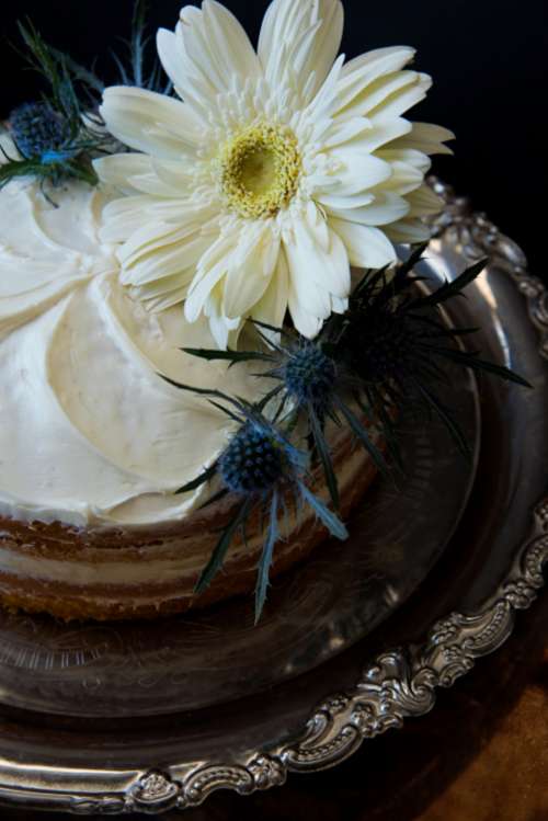 white cake flowers dessert tasty