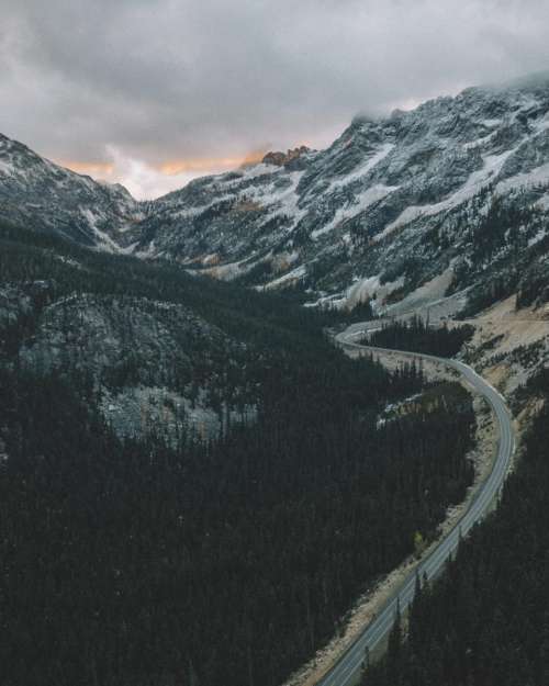 mountain valley trees plant forest