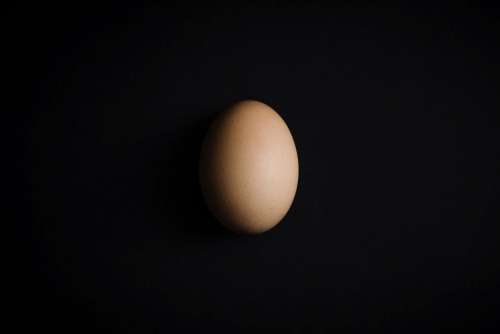 raw egg shell easter