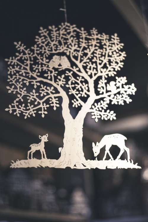 animal tree nature bird deer