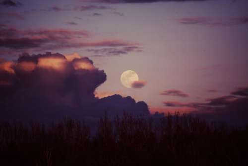 moon sunset dusk sky trees