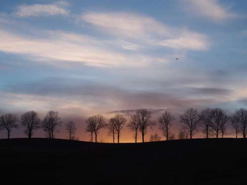 landscape sunset dusk silhouette trees