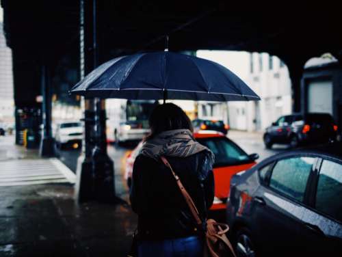 people woman rain umbrella car