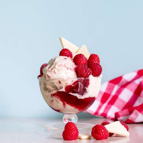 ice cream fancy raspberry sundae bowl