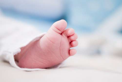 small baby foot toes newborn