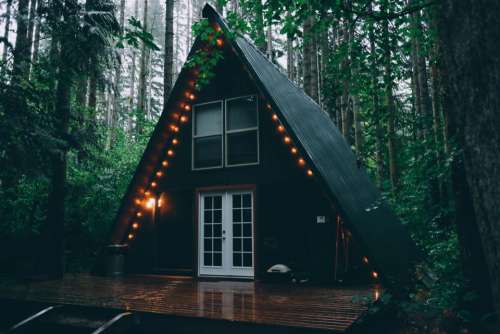 cabin house light bulbs lights forest