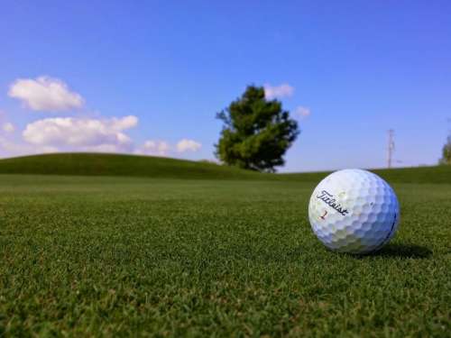 Titleist golf ball green grass
