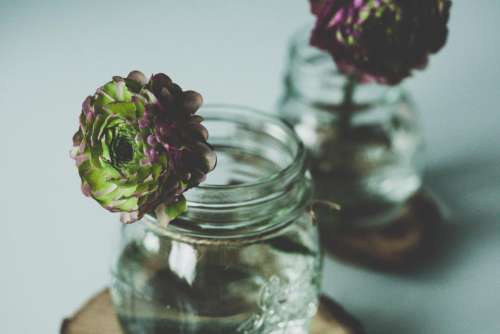 glass jar water flower vase