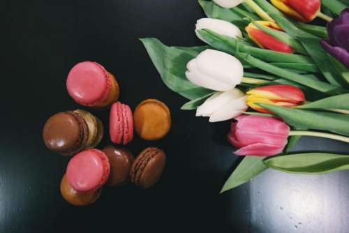 macaroons dessert food tulips flowers