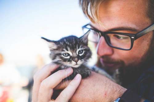 people man eyeglasses kitten cat