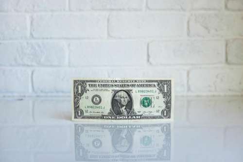 dollar money bill reflection white