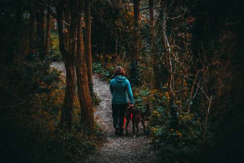 woman hike forest woods animal