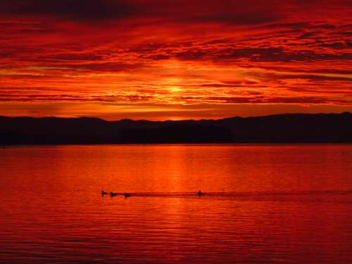 red lake sunset warm nature