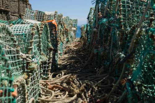 fishing net rope sea sunny