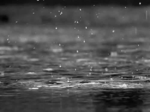 raining rain drops water wet lake