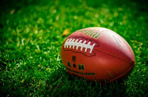 sports ball football American footbal grass