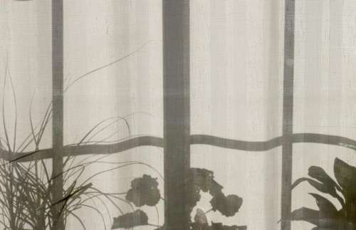 house home plants curtain window