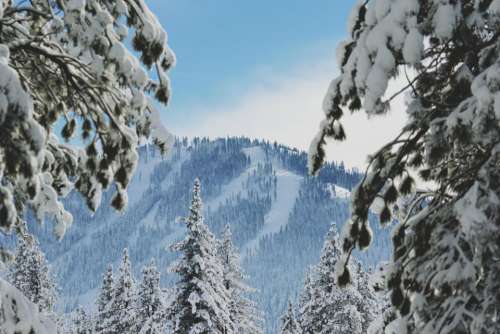 nature landscape mountain snow winter