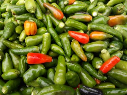 food peppers market fresh organic