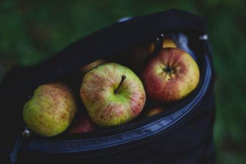 apples fruits food healthy bag